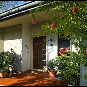 Oasi Di Venice